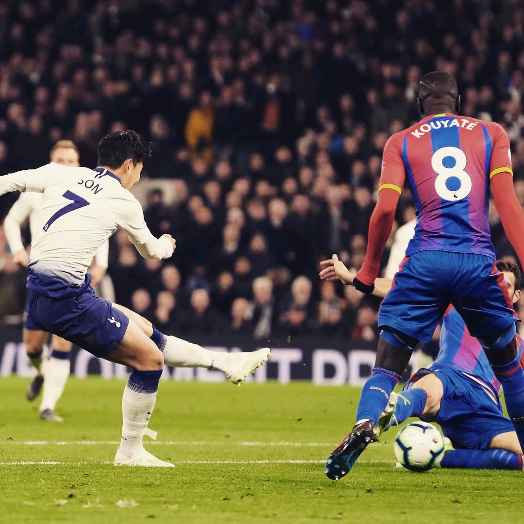 达了他们对 达了他们对