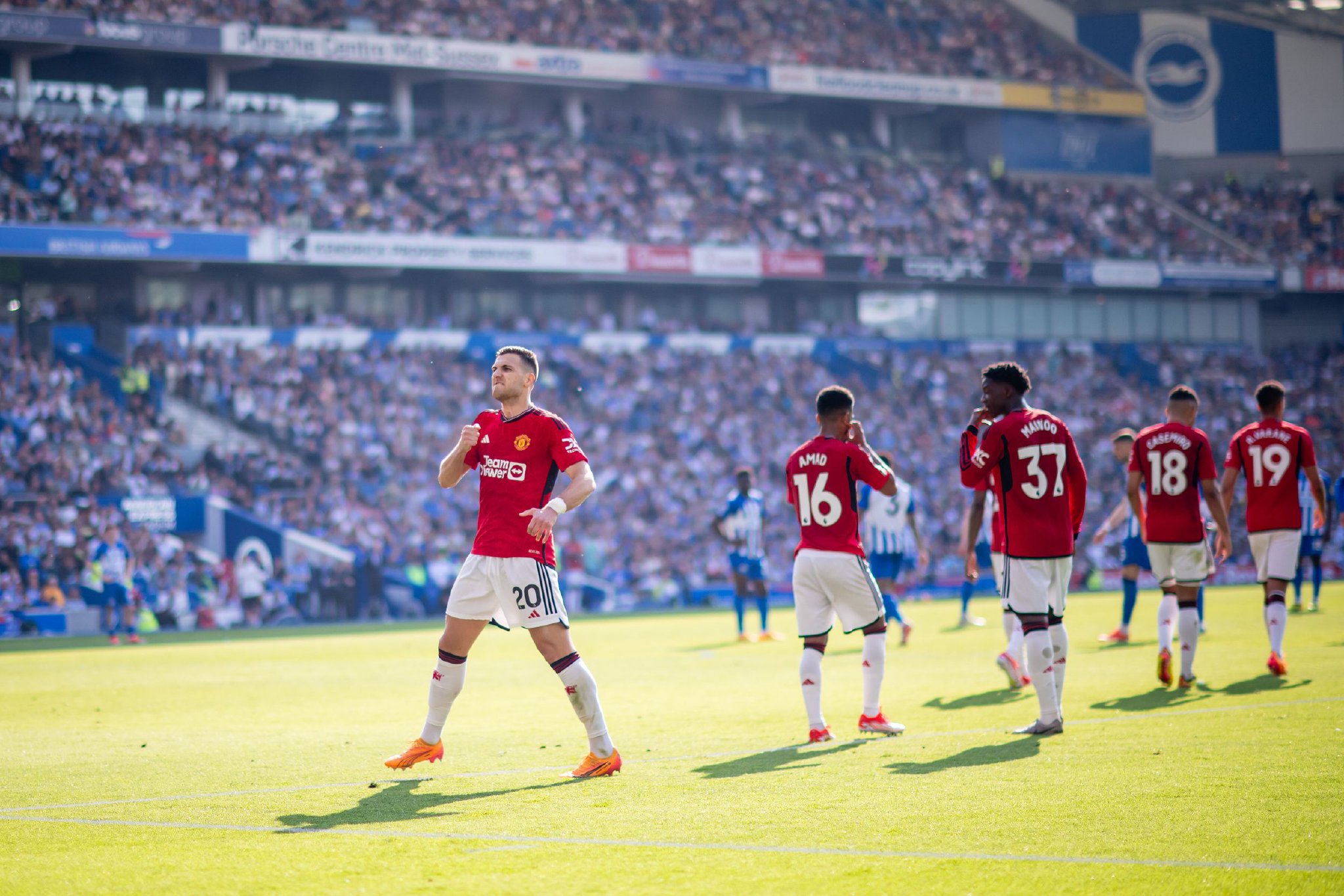 在足球界树 在足球界树